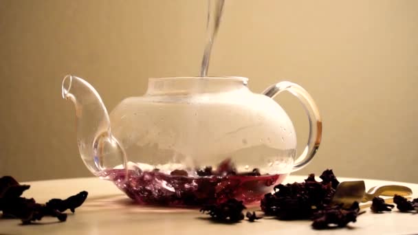 Purification de l'eau en théière avec du thé karkade rouge 