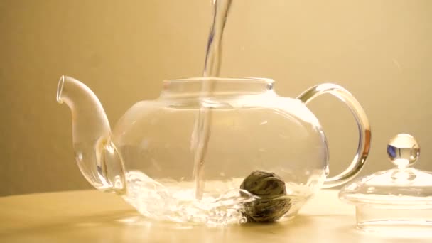 Ζυθοποιία πράσινο τσάι στο τσάι κατσαρόλα — Αρχείο Βίντεο