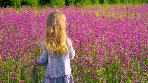 Çiçek tarlasında yürüyen küçük kız — Stok video
