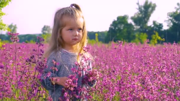 Menina garoto de pé no campo roxo de flores — Vídeo de Stock