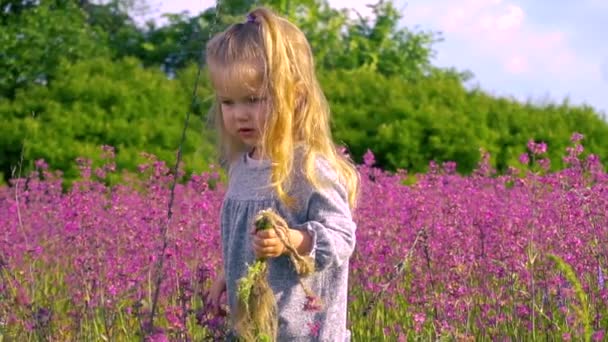 Klein schattig meisje wandelen in het veld van bloemen — Stockvideo