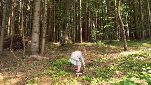 Enfant fille jouer dans la forêt d'été — Video