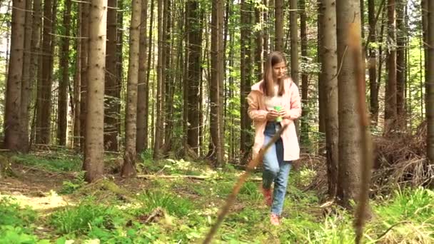 Женщина гуляет по лесу и ищет дикие ягоды — стоковое видео
