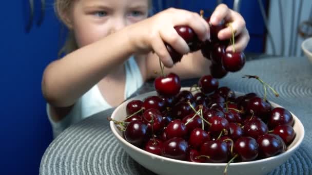 Маленькая девочка держит сладкие вишни в руках и бросает его в миску — стоковое видео