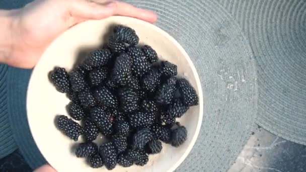 Werfen Sie Brombeeren vom Teller in die Kamera — Stockvideo