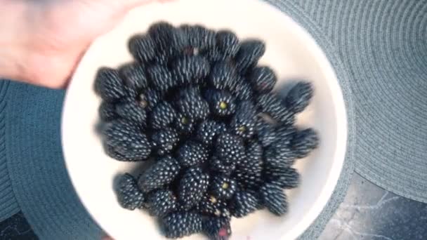 把黑莓从碗盘扔到照相机上. — 图库视频影像