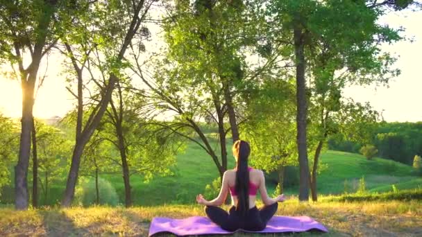 Visão traseira da mulher sentada no tapete e fazendo meditação zen . — Vídeo de Stock