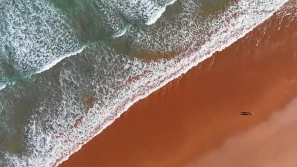Vue aérienne de haut en bas de la plage de sable de l'océan. Couple marchant le long de la côte océanique. UHD, 4K 