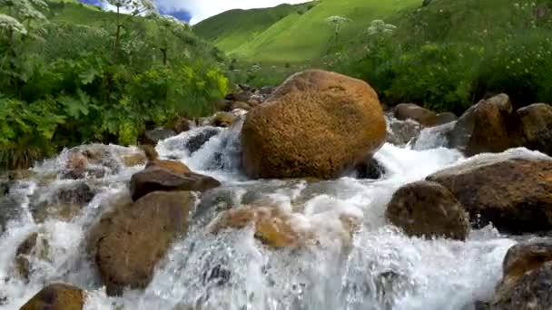 Río de montaña con aguas cristalinas. Disparo deslizante. 4K, UHD — Vídeo de stock