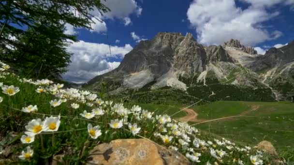 ファルザレゴ パスで夏の日中ドロミテの山々 のショットをジンバルします。アルプス、イタリア。4 k、Uhd — ストック動画