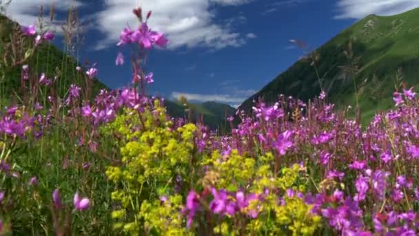 Kafkas Dağları ve mavi bulutlu gökyüzü Svaneti, Georgia'daki Ushguli köyü yakınlarında. 4k, Uhd — Stok video