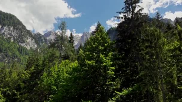 Parque Nacional de Triglav en Julian Alps, Eslovenia. Disparo ascendente de un dron. 4K, UHD — Vídeos de Stock
