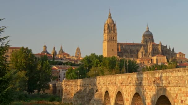 Imagem panorâmica da Catedral Nova de Salamanca, Espanha, durante o pôr-do-sol. 4K, UHD — Vídeo de Stock