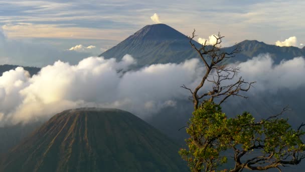 Γραφικό πλάνο του όρος Μπρόμο, ένα ενεργό ηφαίστειο στην Ανατολική Ιάβα, Ινδονησία. 4k, Uhd — Αρχείο Βίντεο
