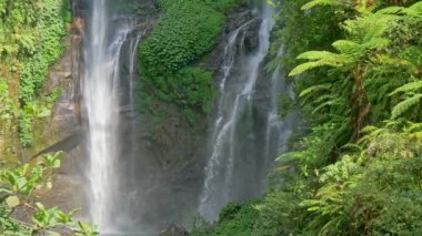 Şelaleler ve Bali, Endonezya yeşil yemyeşil bitki örtüsü. Atış, Uhd kaydırma