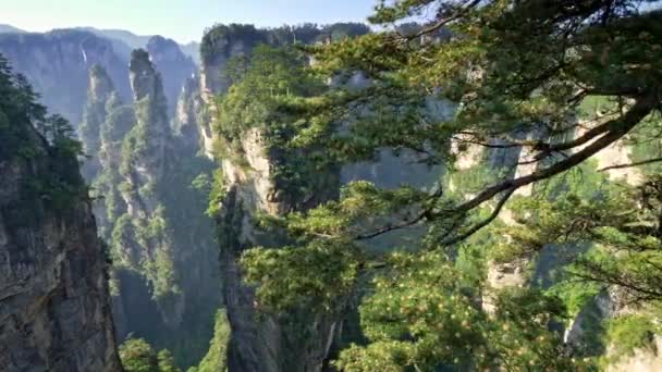 張り家界市、湖南省、中国の武陵源で垂直の崖のパノラマ撮影。フォア グラウンドでコーンと松の木。春夏の晴れた日。ドローン。4 k、Uhd — ストック動画