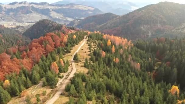 Vista aerea delle montagne autunnali. Sorvolando alberi rossi, arancioni e verdi. Concetto autunno . — Video Stock