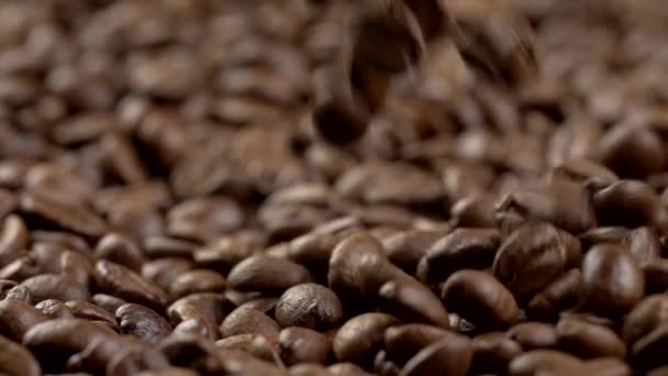Zpomalený záběr klesající kávová zrna — Stock video