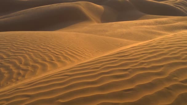Woestijn zandduinen rimpelingen in de wind. UHD, 4k — Stockvideo