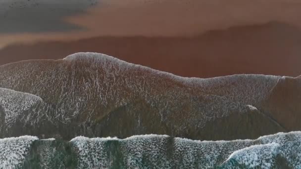 Nyugalom koncepció. Egy zöld tengeri barna parton gördülő habos hullámokkal. Felülről lefelé légi felvétel, 4k — Stock videók