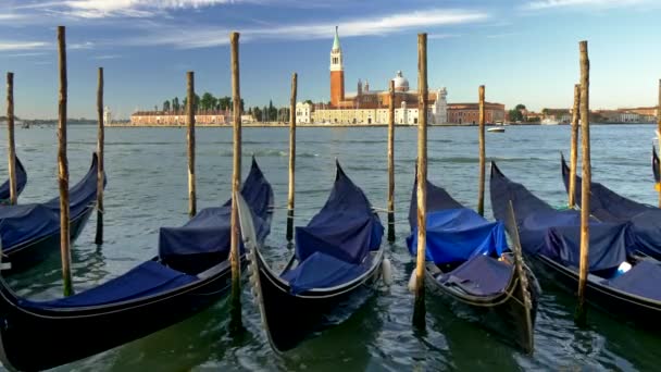 Venecia, Italia. Góndolas atracadas cubiertas de lienzos azules balanceándose en las olas. Basílica de San Marcos se ve en el fondo. UHD — Vídeo de stock