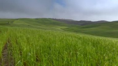 Toskana, İtalya bahar yeşil tepeler üzerinde uçan. Hava atış, 4k