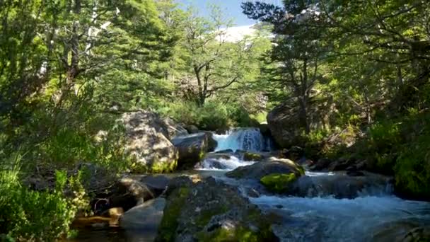 Landschaft mit Gebirgsfluss, Wald und verschneiten Bergen. Nationalpark Cerro tronador, Seengebiet, Patagonien, Argentinien — Stockvideo