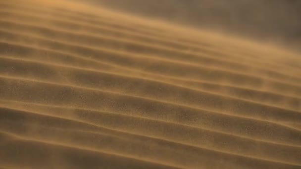 Sabbia che ondeggia nel vento tra le dune nel deserto. Colpo al rallentatore — Video Stock