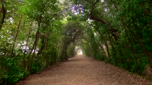 ボーボリ庭園。フィレンツェ、イタリア。ボナローティの家公園で怪しげなアーチ形にされたパスに沿って歩く — ストック動画