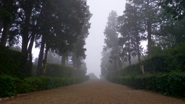 Camera beweegt langs de mistige alley in de Boboli-tuinen. Florence, Italië — Stockvideo