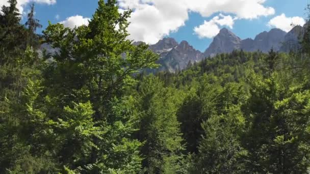 슬로베니아. 플 라 잉 Triglav 국립 공원 이상의 짙은 녹색 소나무 숲으로 덮여. 줄리안 알프스 배경에서 볼 수 있습니다.. — 비디오
