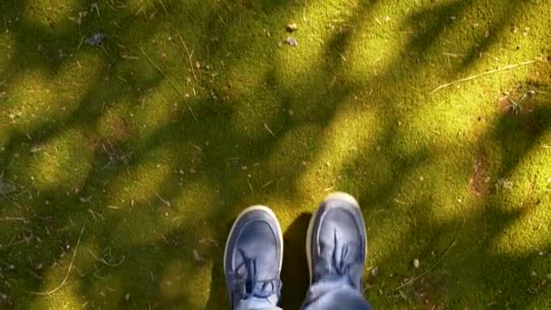 Человек в джинсовых ботинках в синих джинсах ходит по зеленому мху в парке — стоковое видео
