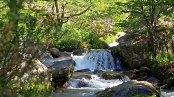 Vattnet faller långsamt i kaskader från en sten i ett vattenfall i Norge omgiven av skog. Uhd — Stockvideo