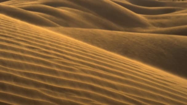 La arena dorada ondeando en el viento en las dunas del desierto. Disparo en cámara lenta — Vídeos de Stock