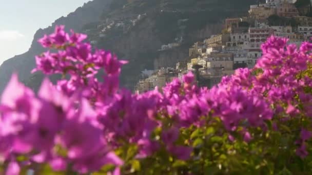 Verheende boven mooie roze bloemen in de lente tegen Positano aan de kust van Amalfi van de Tyrrheense Zee in Campania, Italië. UHD — Stockvideo