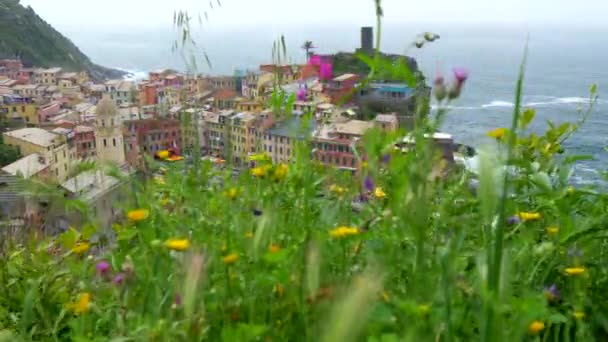 Steadicam záběr Vernazza, Cinque Terre, Itálie. Elegantní barevné domy jsou vidět v pozadí. Vernazza je město na italské riviéře na pobřeží Ligurského moře. Uhd — Stock video