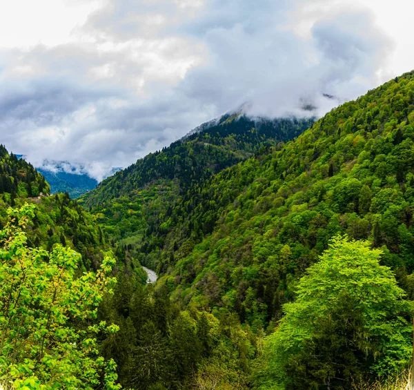 Türkiye'de Trabzon şehir etrafında peyzaj güzel için Zil kale görüntüleyin