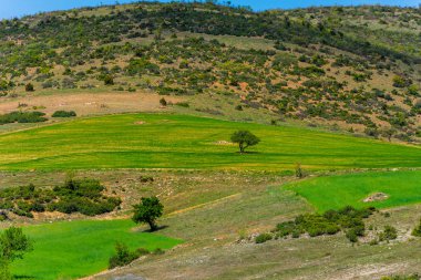 Türkiye'de Afyonkarahisar ilindeki güzel yeşil manzara