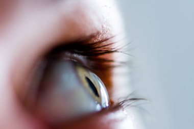 Mavi-yeşil-gri göz. Renk diğer gerçekleri bağlıdır.