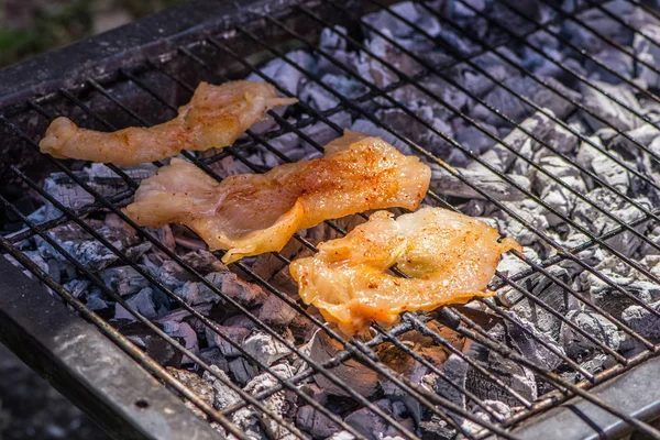 烤架上的香料鸡胸肉 为大自然中的家庭午餐做准备 — 图库照片