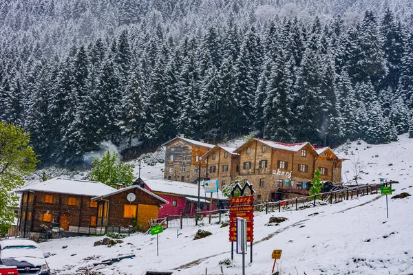 Güzel turistik köy Ayder kar kaplı — Stok fotoğraf