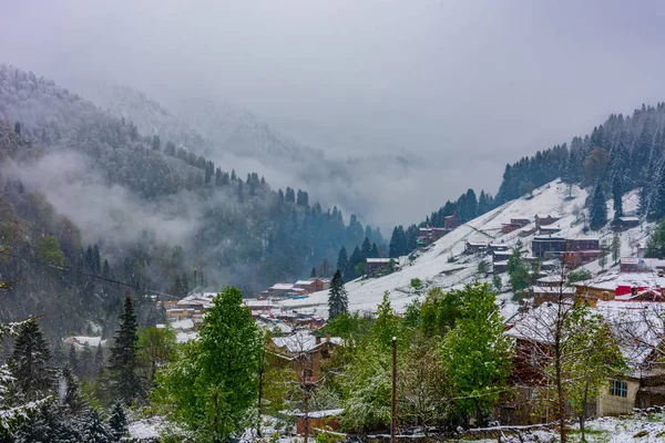 Beautiful touristic village Ayder covered by snow — Stock Photo, Image