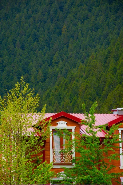 Schöner Balkon des kleinen Holzhauses im Wald — Stockfoto