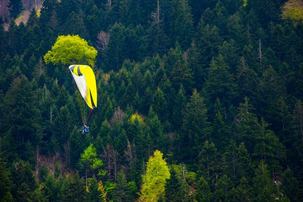 Para-glider through the air over the forest