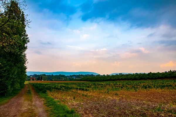 El campo en la pequeña ciudad de Bad Oeynhausen — Foto de Stock