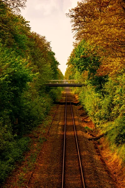 Bela paisagem de ferrovia e natureza ao redor com outono col — Fotografia de Stock