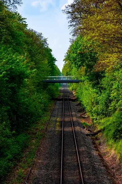 Bela paisagem de ferrovia e natureza ao redor com outono col — Fotografia de Stock