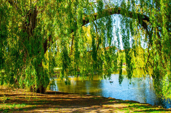 The beautiful landscape of the Pildammsparken lake in the city o