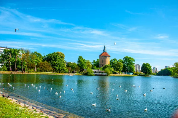 El hermoso paisaje del lago Pildammsparken en la ciudad o — Foto de Stock