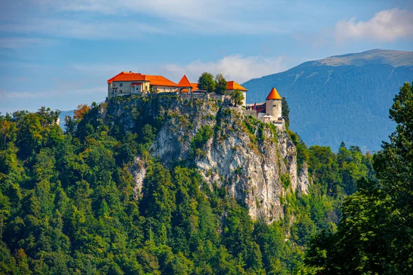 Вид на замок Блед у Словенії — стокове фото